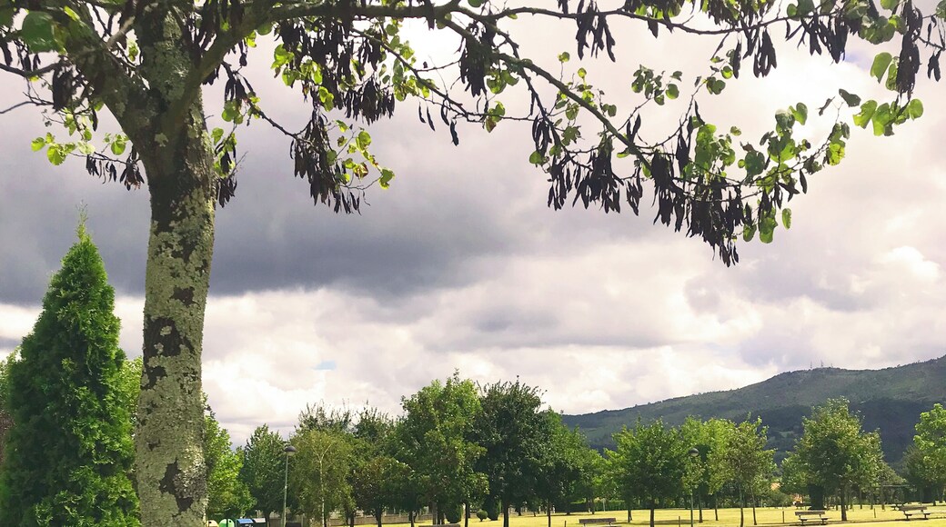 Derio is a small town in the Greater Bilbao area (and right next to the Bilbao airport). It’s a 10-minute drive to Bilbao.