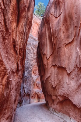 0_264c1269-0f70-4b9f-bd92-25e42e7148ab_raw