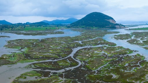Aerial drone view of the landscape surrounding the Cerroja Mill in Escalante, within the Santoña, Victoria and Joyel Marshes Natural Park. Cantabria, Spain. Europe