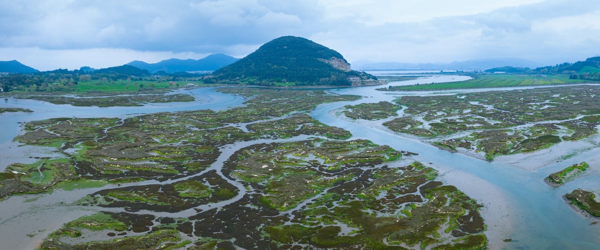 A river delta with green vegetation and a prominent mountain in the background.
