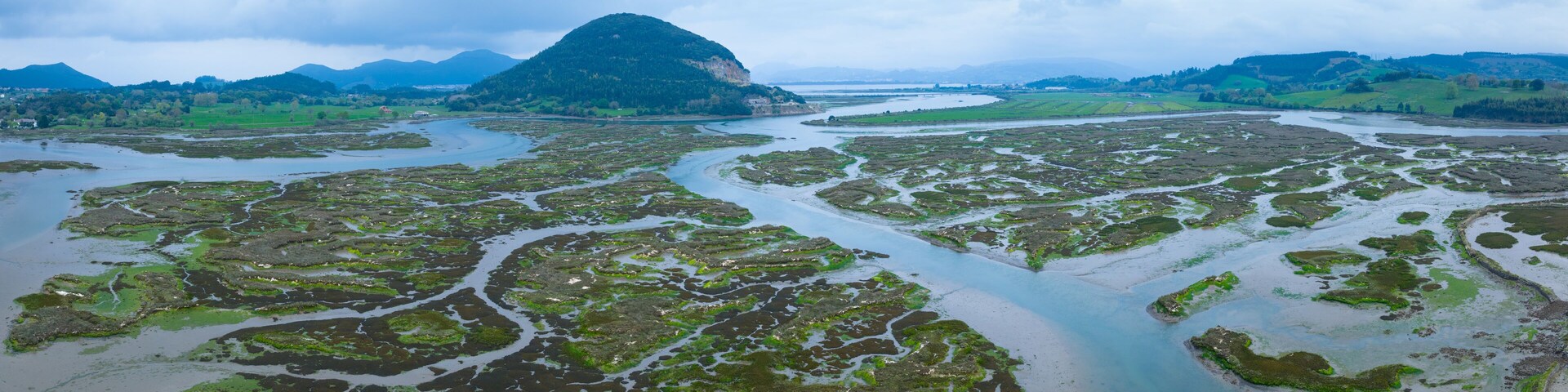 A river delta with green vegetation and a prominent mountain in the background.