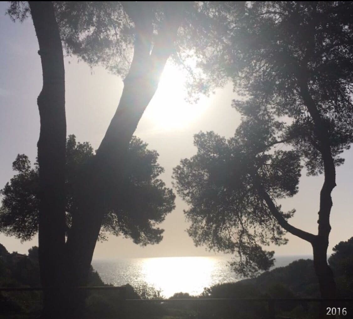 The aura that moves me!