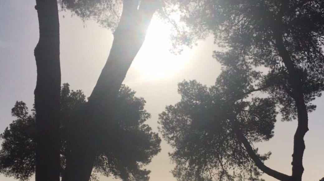 The aura that moves me!