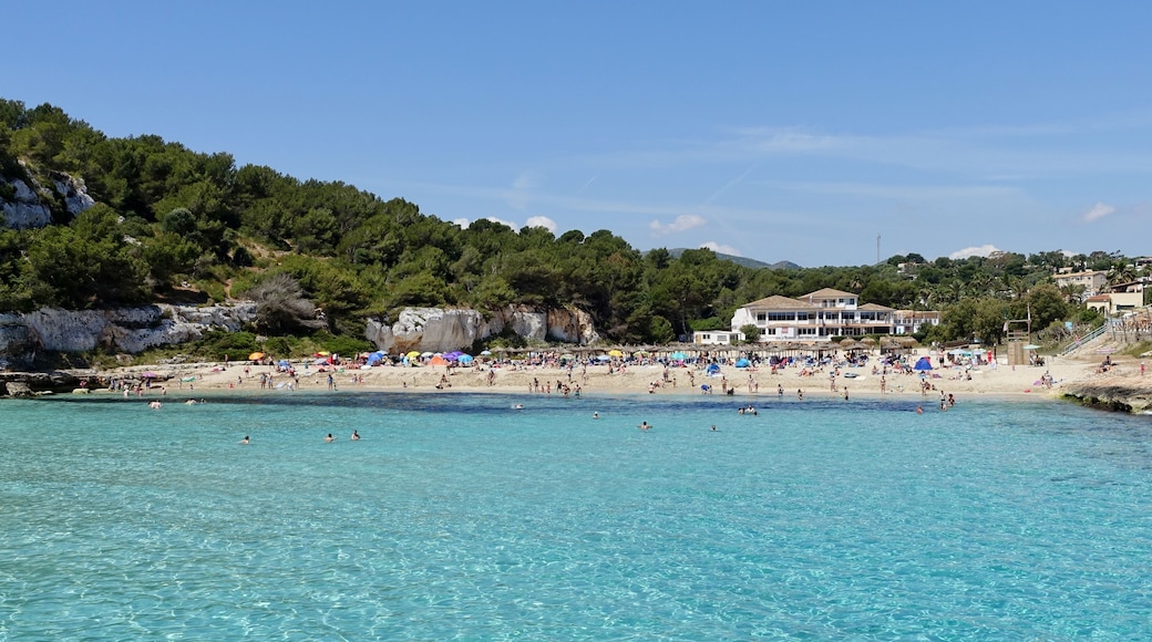 S’Estany d’en Mas in der Gemeinde Manacor, Mallorca, Spanien