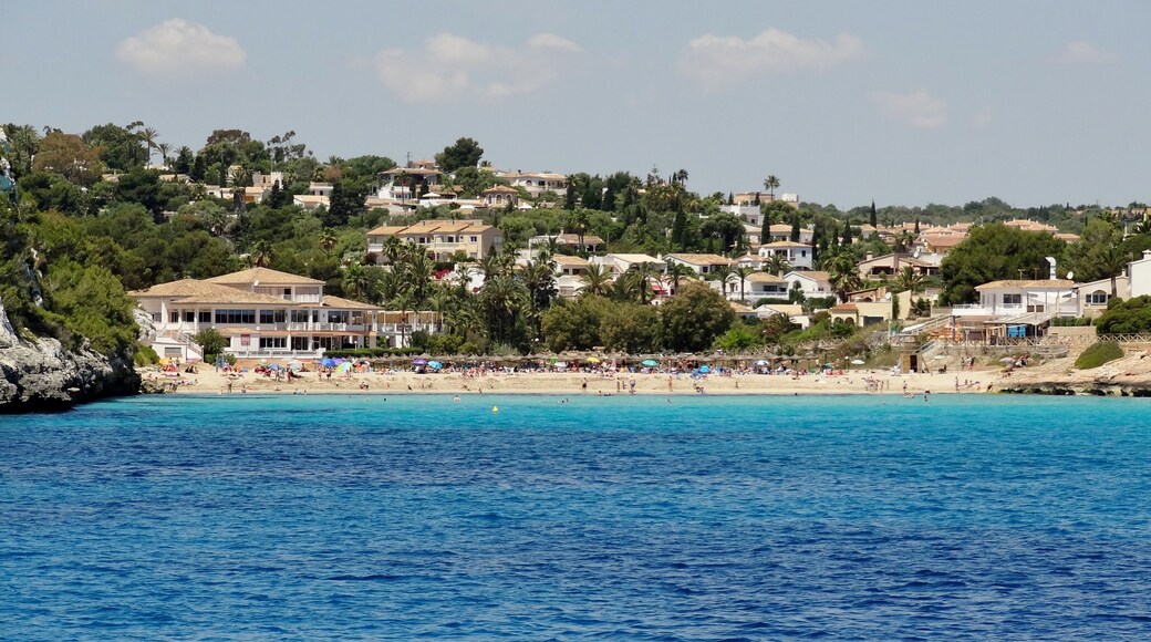 S’Estany d’en Mas in der Gemeinde Manacor, Mallorca, Spanien