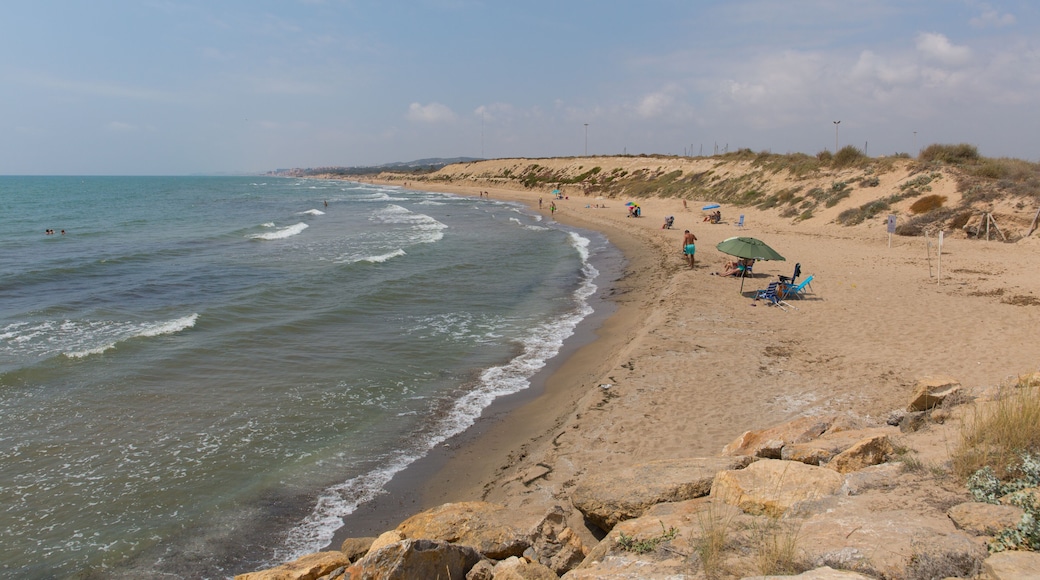 Beach view from Faro del Puerto north of Guardamar del Segura Costa Blanca Spain near to Marina de las Dunas