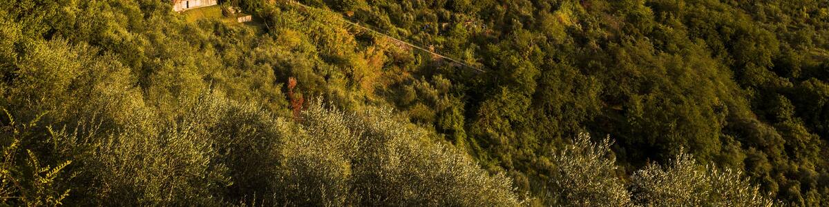 Vista panoramica di Montecatini Alto durante un tramonto caldo con nuvole blu violacee sullo sfondo.