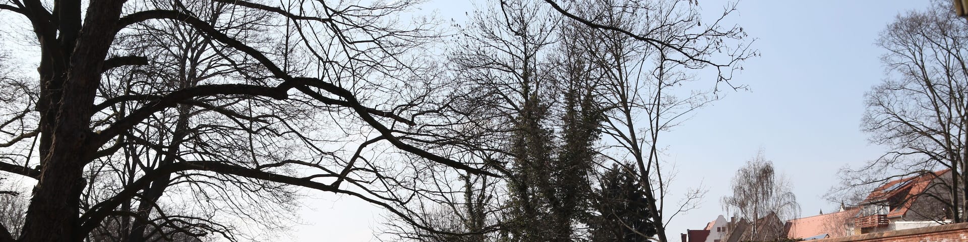 Wallgraben in Delitzsch von der Brücke Holzstraße mit Blick Richtung Westen