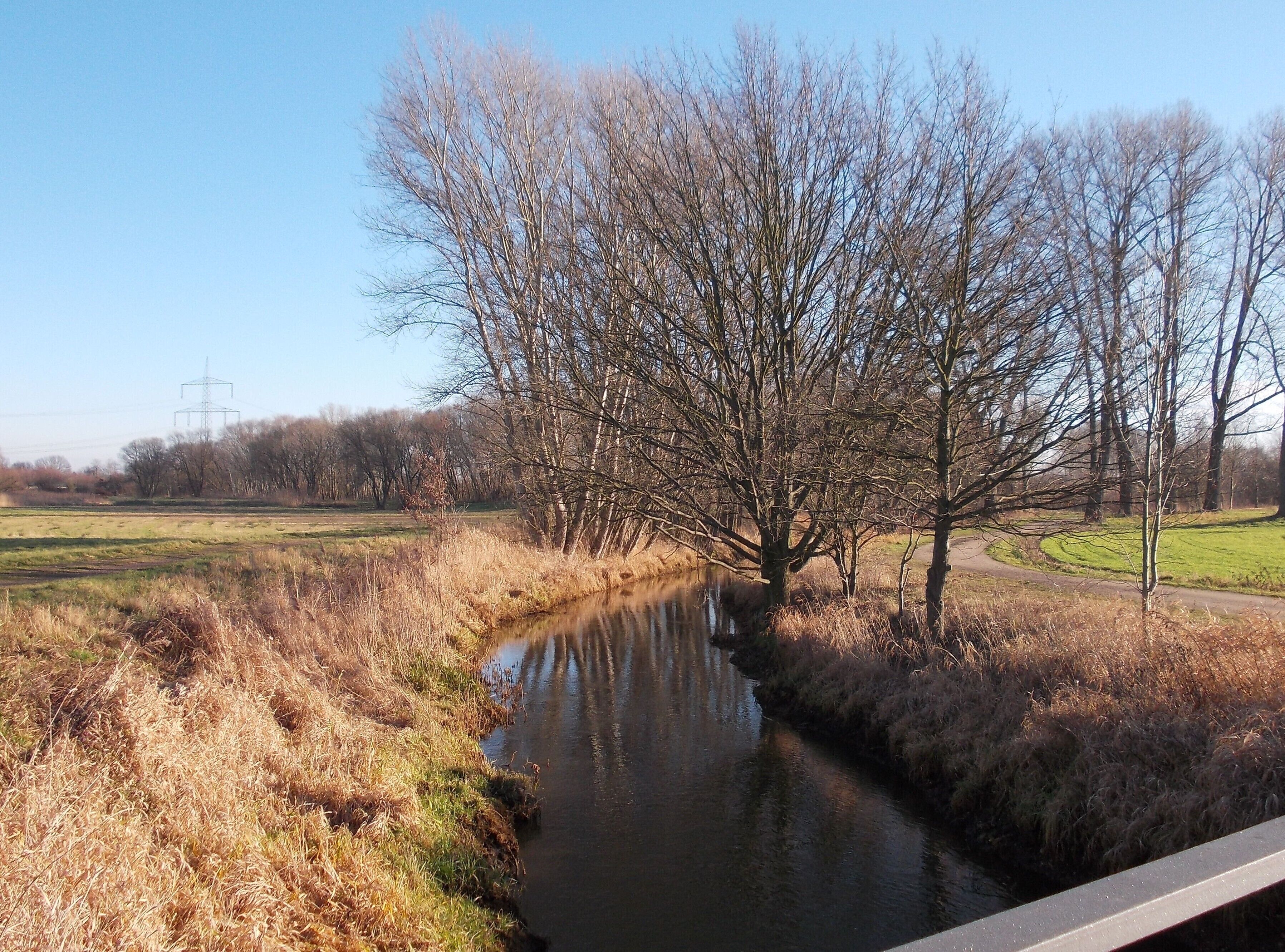 Lober river near Schenkenberg (Delitzsch, Nordsachsen district, Saxony)