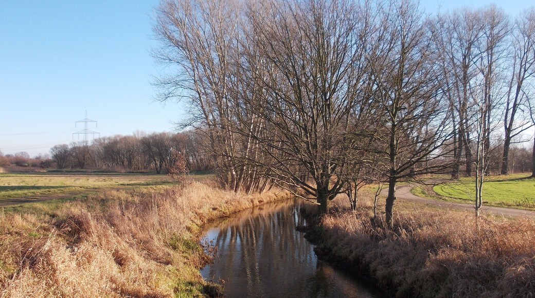 Lober river near Schenkenberg (Delitzsch, Nordsachsen district, Saxony)
