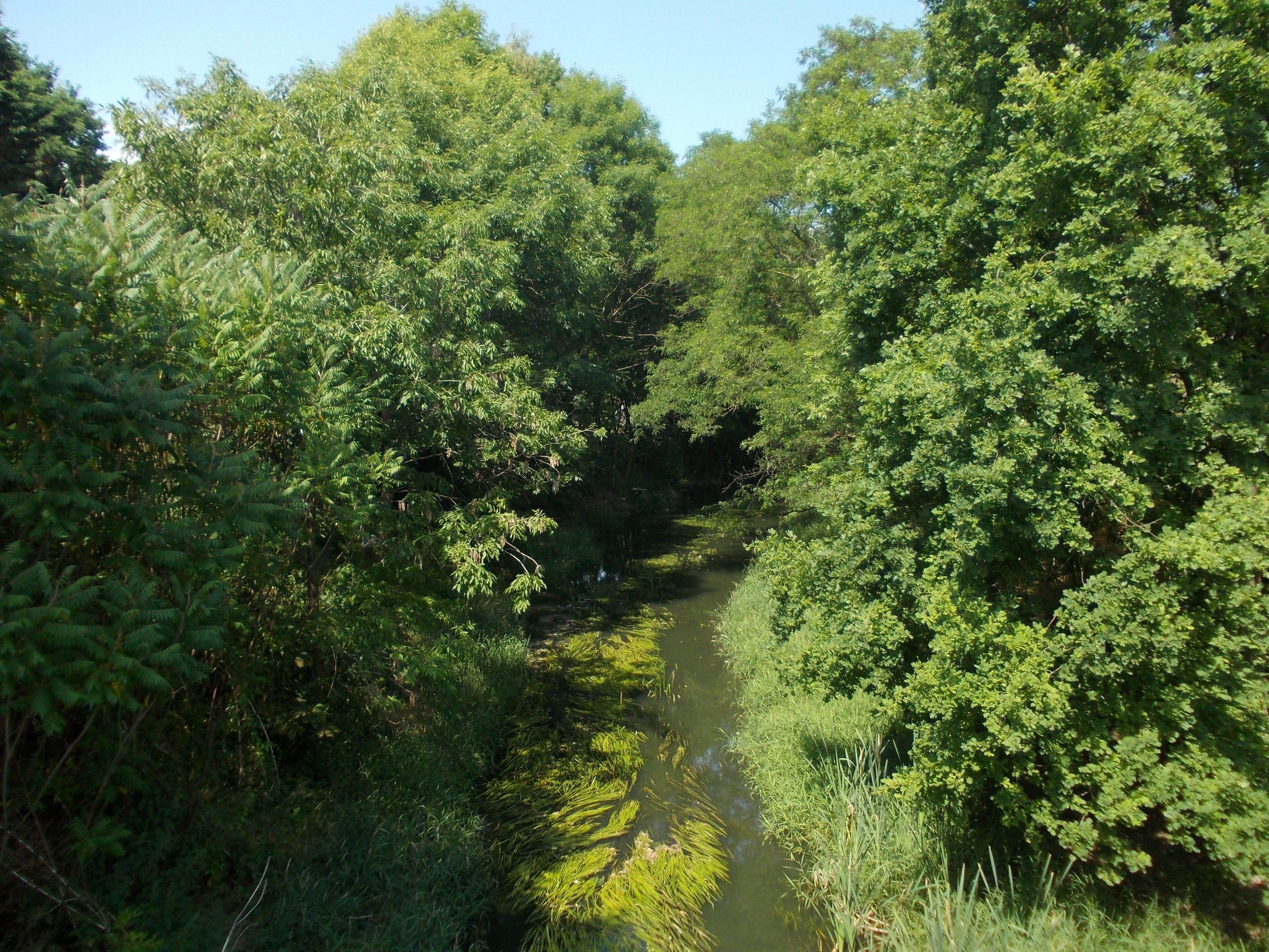 Lober-Leine Canal in Benndorf (Delitzsch, Nordsachsen district, Saxony)