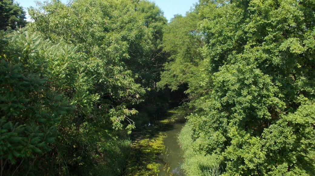 Lober-Leine Canal in Benndorf (Delitzsch, Nordsachsen district, Saxony)