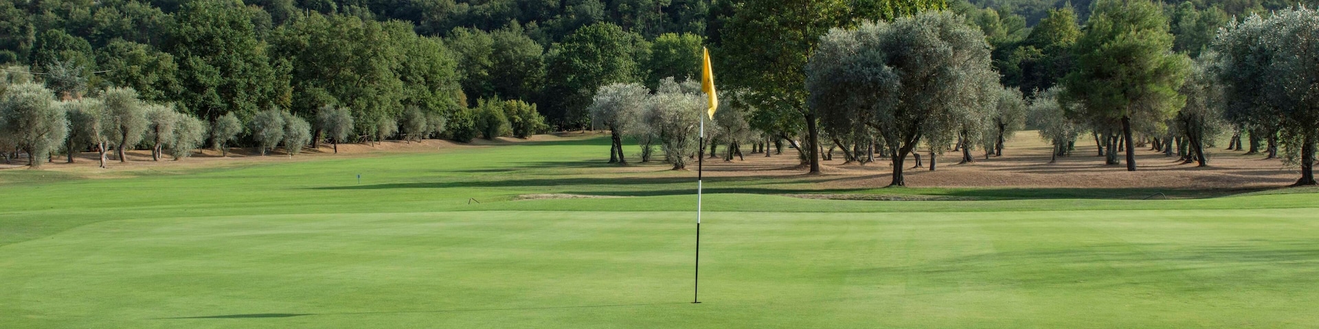 Campo de golf con un mástil de bandera, rodeado de olivos y montañas al fondo.