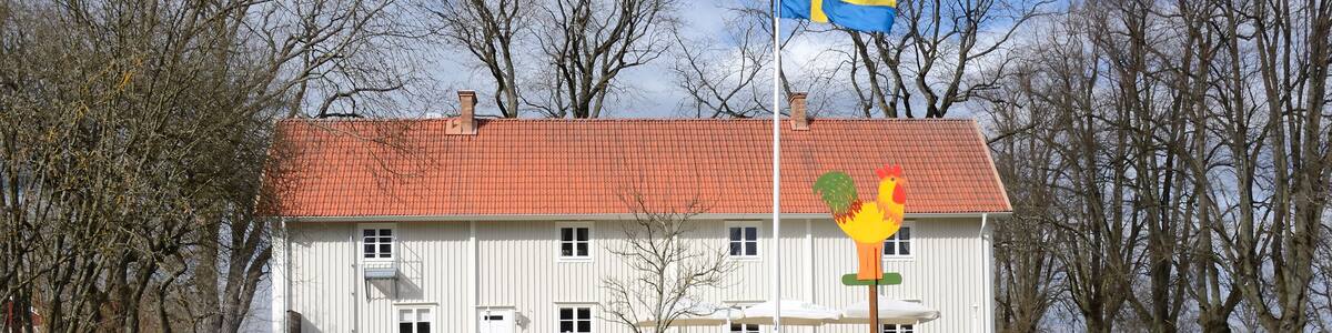 Spring in Swedish park