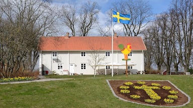 Spring in Swedish park