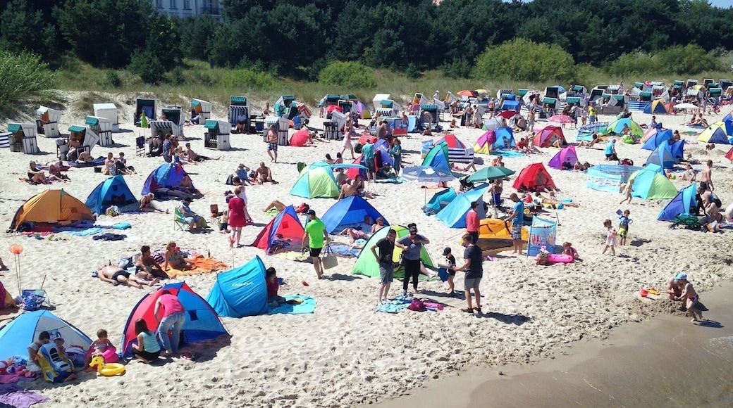 Beach life in Zinnowitz, island of Usedom, Baltic Sea
#green