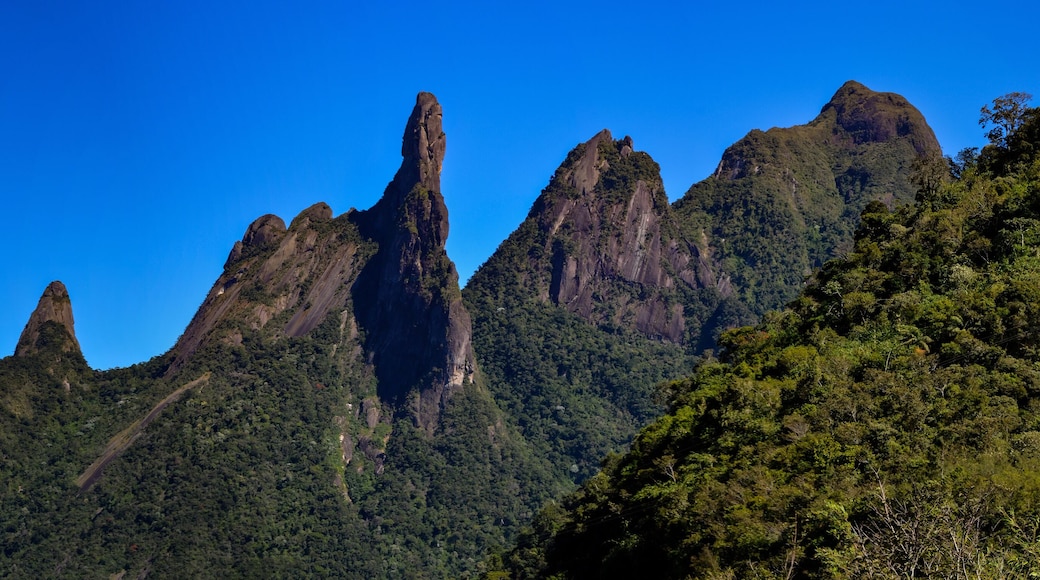 The Serra dos Órgãos is a mountain range in the city of Teresópolis, state of Rio de Janeiro, Brazil. The region is home to the famous Serra dos Órgãos National Park and the Três Picos State Park.