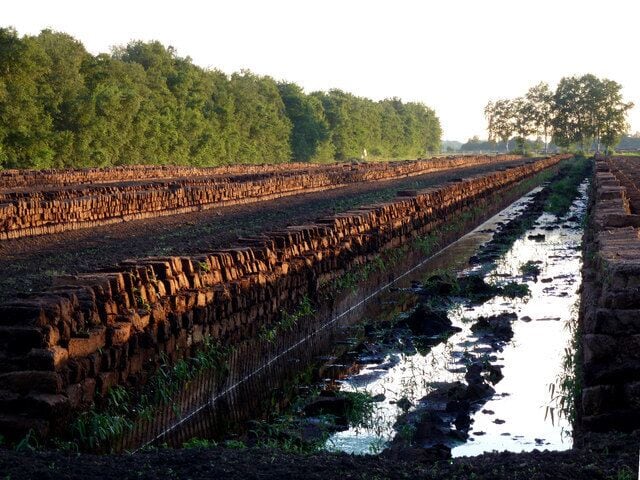 Torfabstich im Neulandermoor