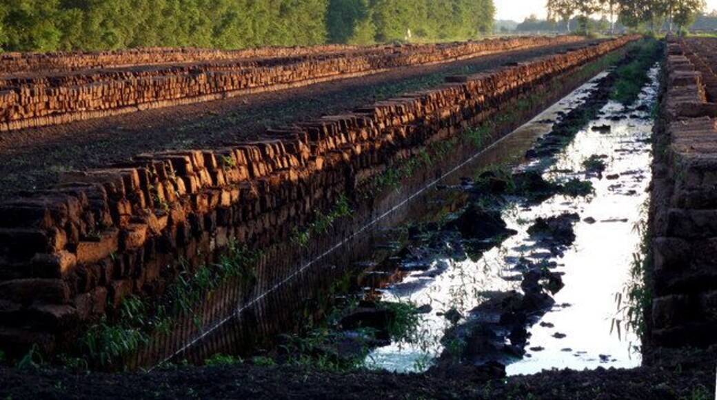 Torfabstich im Neulandermoor