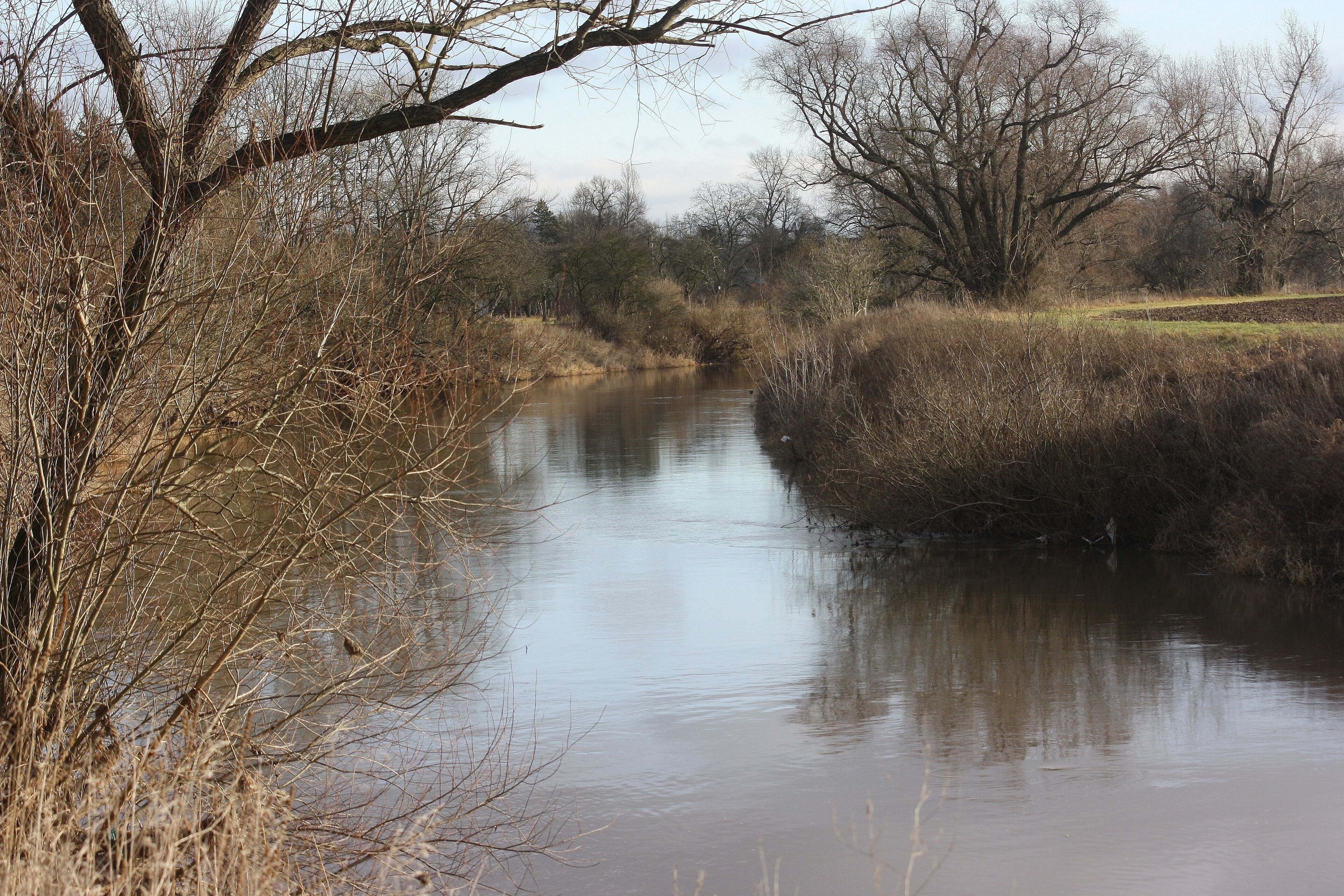 Großjena - Steinerne Festschrift - Unstrut unterhalb der barocken Reliefs in Buntsandsteinbank