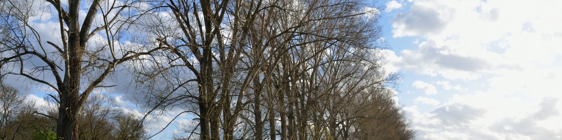 Nuthegraben bei Wietstock (Stadt Ludwigsfelde)