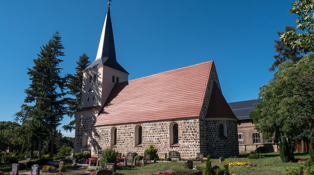 路德維希費爾德