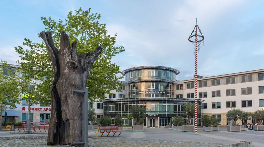 路德維希費爾德