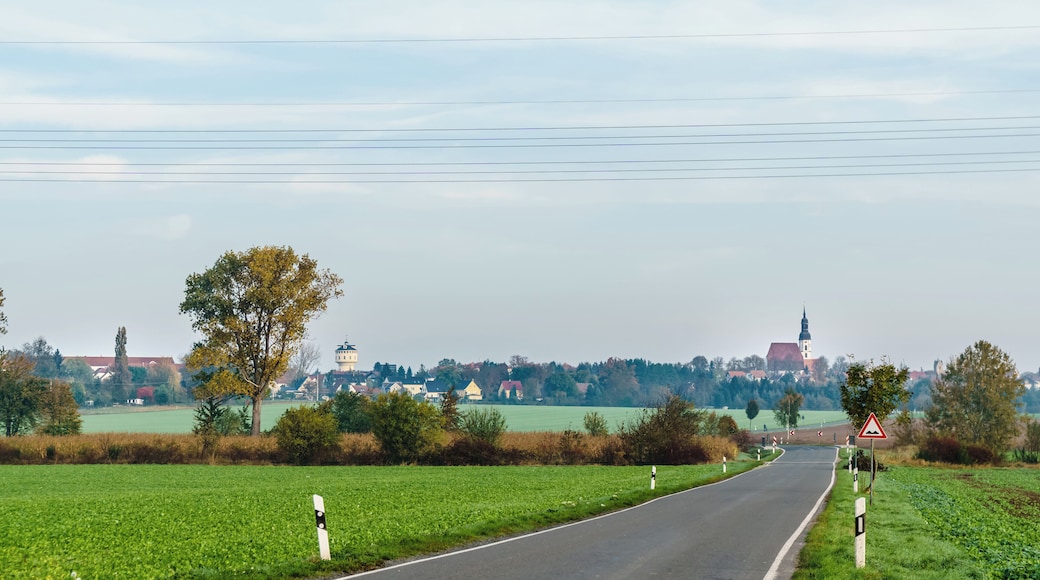 This media shows the protected monument of Saxony with the ID 09267435 KDSa/09267435(other).