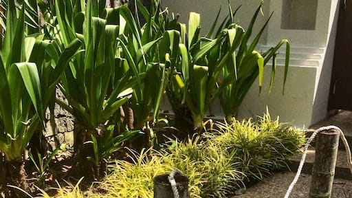 Calm space created through #yellow flowers at the Tanjong Jara Resort #lifeatexpediagroup