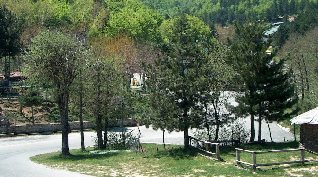 Nei pressi di Villaggio Palumbo