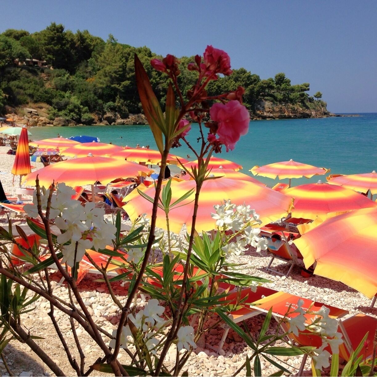 The Beauty of Sicily!