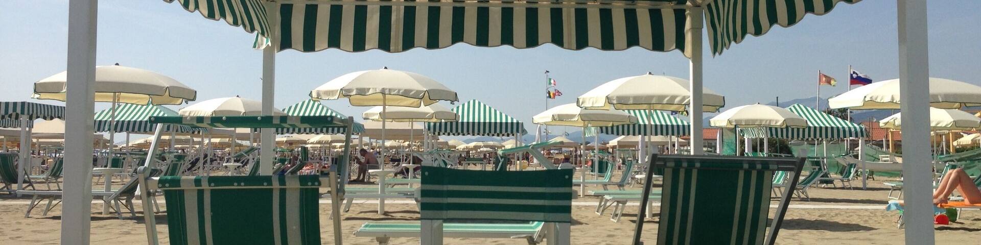 Another day, another beach club....