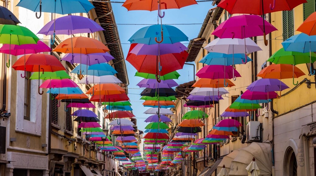 As the picture of @Jelmer taken in Namur I shot this similar picture of a street with a lot hanging umbrellas. It was a fascinating place. A beautiful and practical solution to create shadow in this warm environment. We liked the beautiful colors. What do you think?
#tuscany #italia #europe #umbrellas #pietrosanta