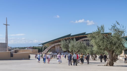 San Pio da Pietrelcina