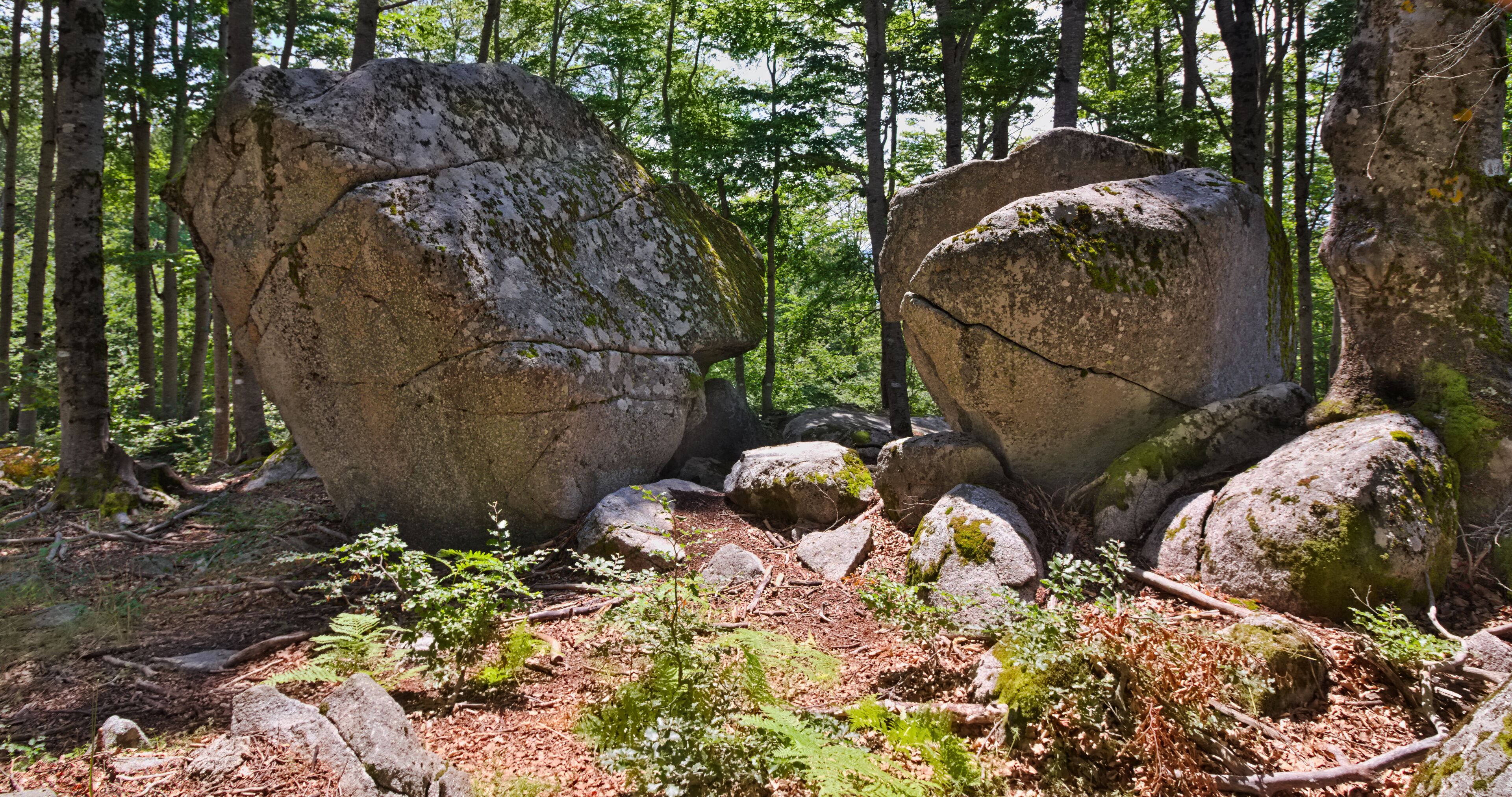 Altar stone, ancient geological structure in the heart of the Sila National Park, Calabria, Italy