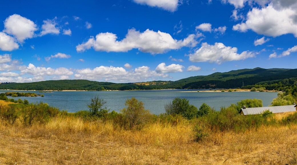 Cecita Lake. The Sila National Park located in Camigliatello Silano