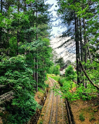 The colour of nature.