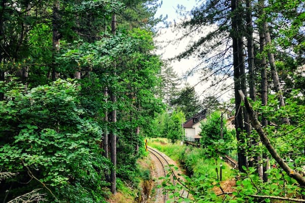 The colour of nature.