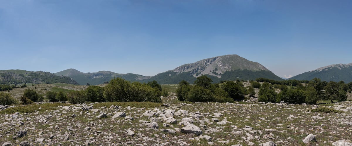 A mountainous landscape with rocky terrain, scattered trees, and distant mountains under a clear sky.