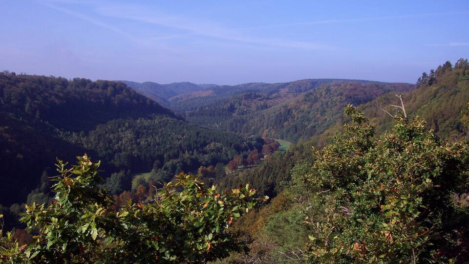 A valley with dense forests and rolling hills.