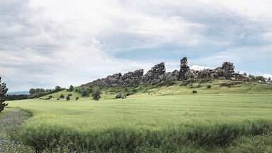 A grassy hill with scattered trees and a rocky outcrop.