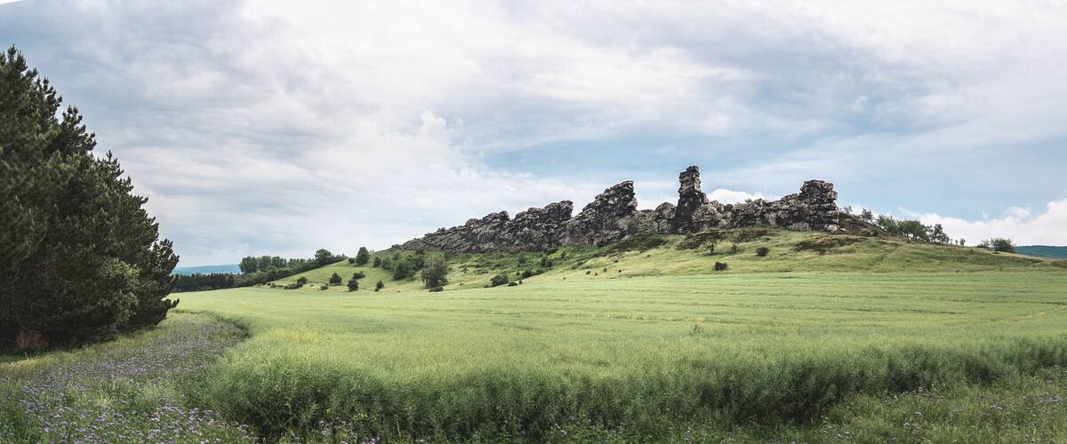 A grassy hill with scattered trees and a rocky outcrop.