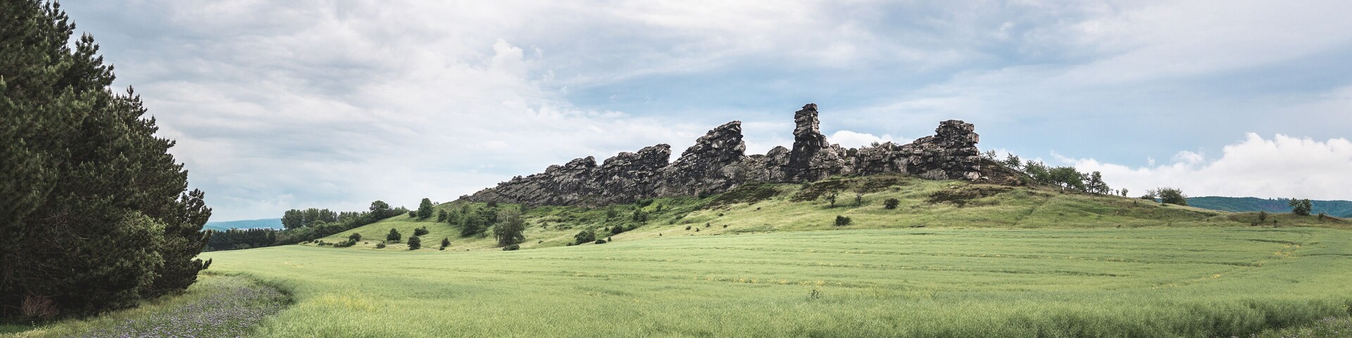 A grassy hill with scattered trees and a rocky outcrop.