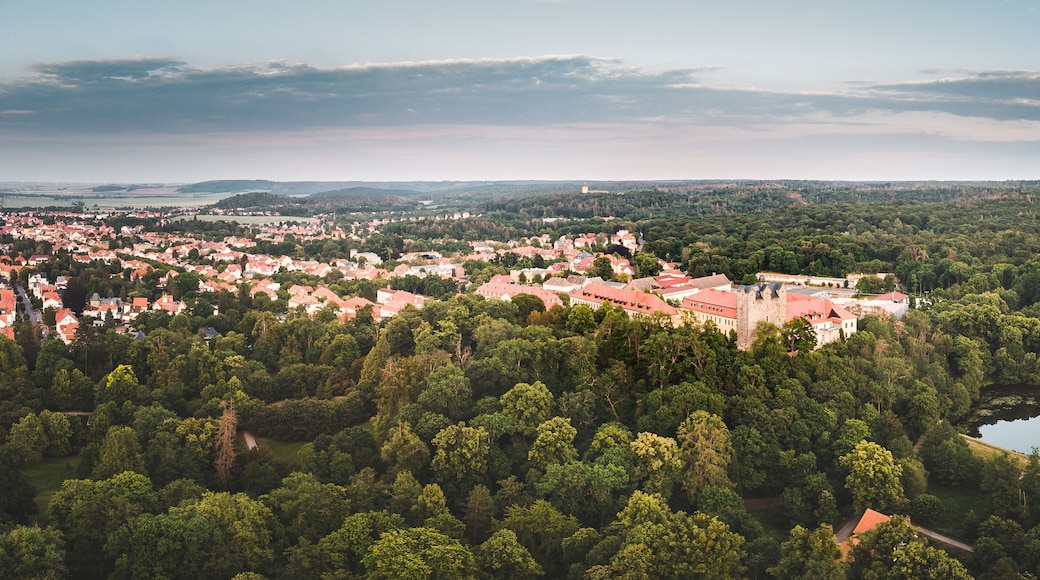 Schloss Ballenstedt im Harz bei Quedlinburg - Panorama