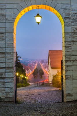 Blick vom Schloss Ballenstedt auf die Stadt