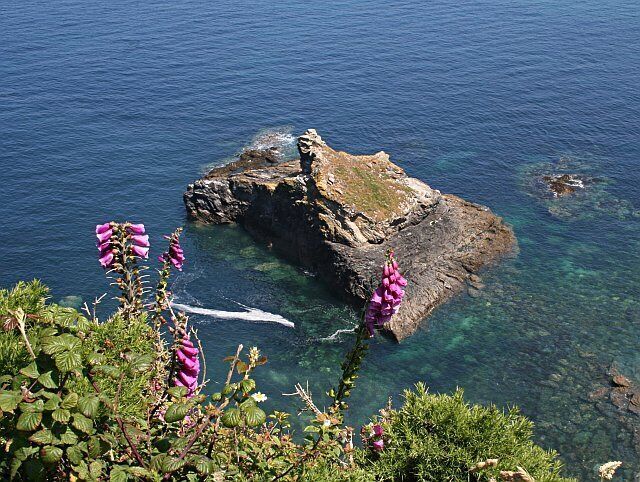 A rocky coastline with clear blue water, surrounded by greenery and purple flowers.