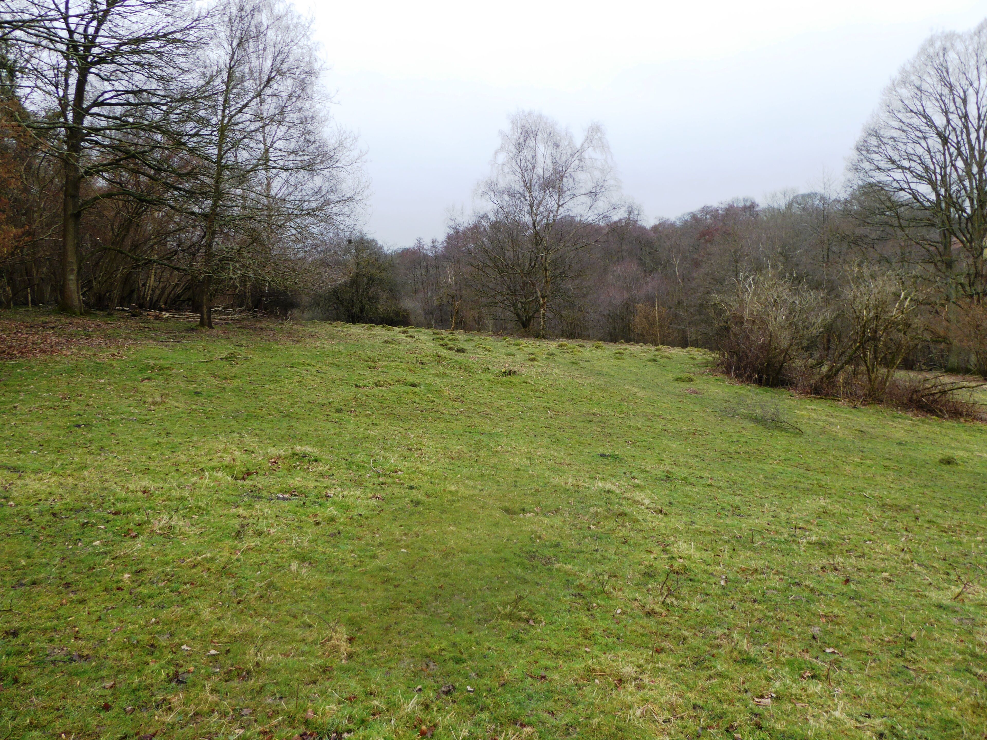 Cowden Pound Pastures is a Site of Special Scientific Interest north of Cowden in Kent. It is managed by the Kent Wildlife Trust.