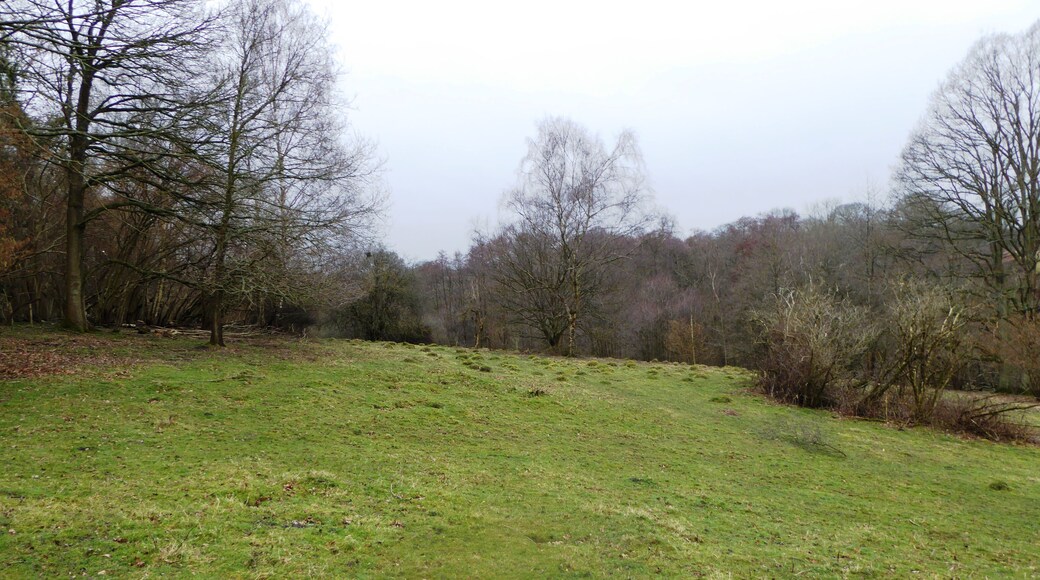 Cowden Pound Pastures is a Site of Special Scientific Interest north of Cowden in Kent. It is managed by the Kent Wildlife Trust.