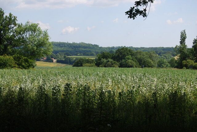 View SE from Station Rd, Cowden