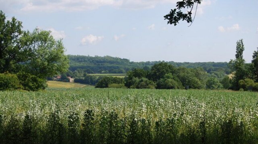 View SE from Station Rd, Cowden